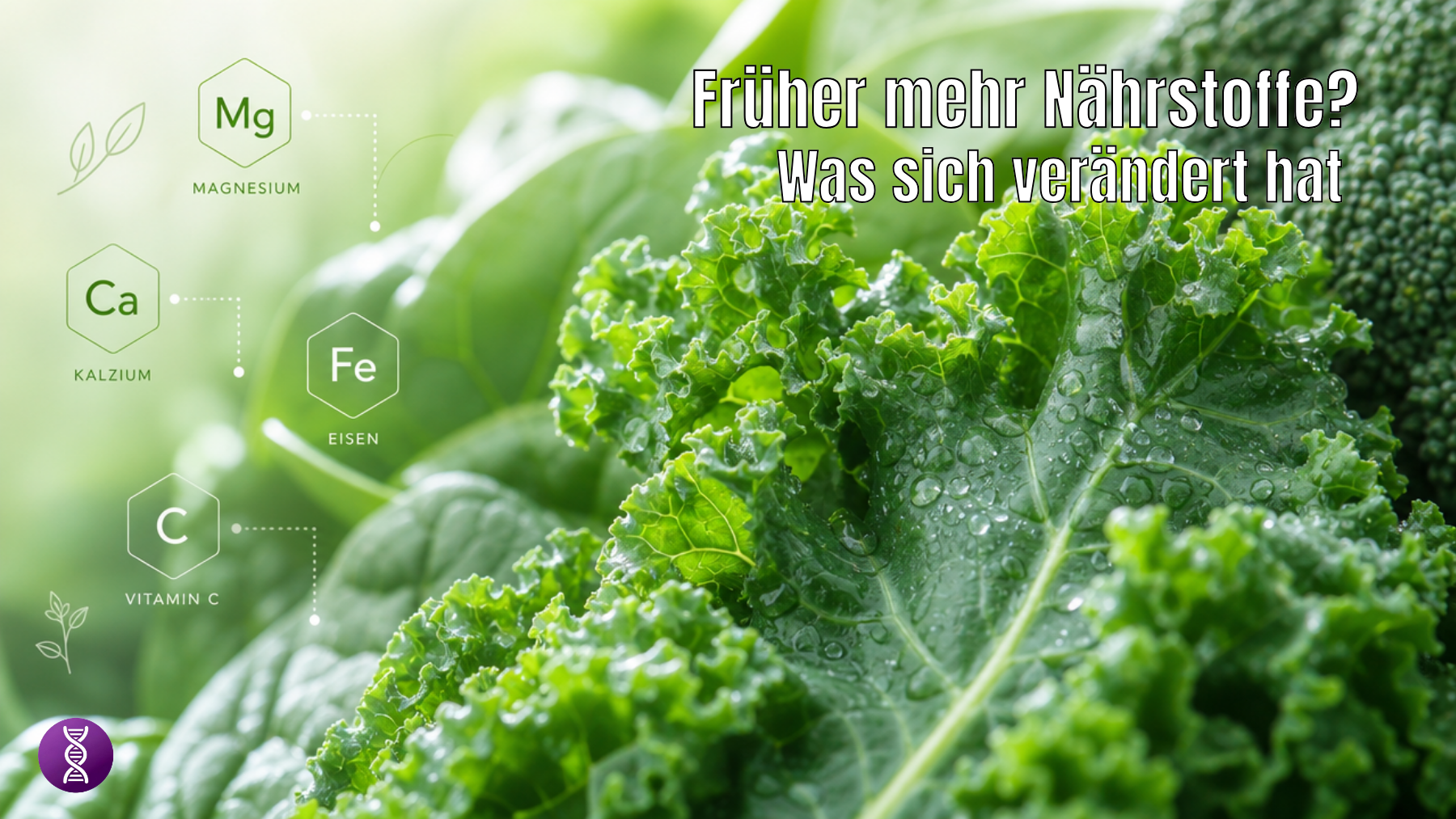 Hatten Lebensmittel früher mehr Nährstoffe? Was Studien zeigen