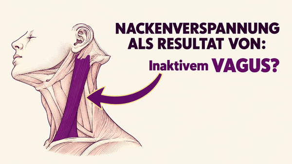 Die Vagusnerv Symptome der meisten Menschen | Wie du die Ursache heilst!