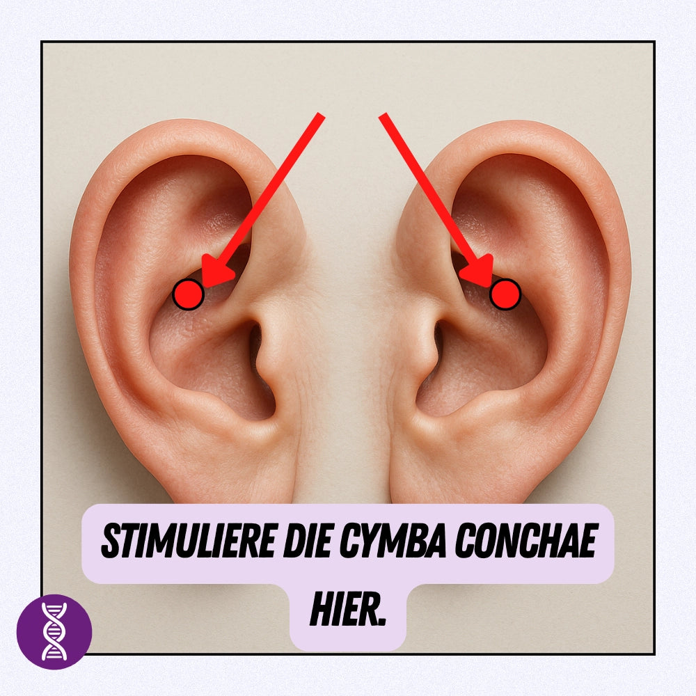 NeuroVitalElectrode: For bilateral attachment to the cymba conchae