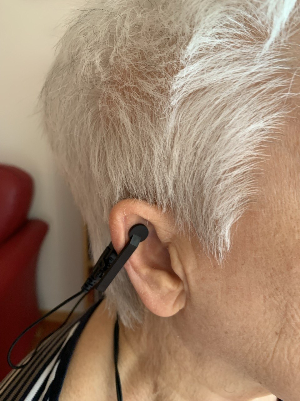 NeuroVitalElectrode: For bilateral attachment to the cymba conchae